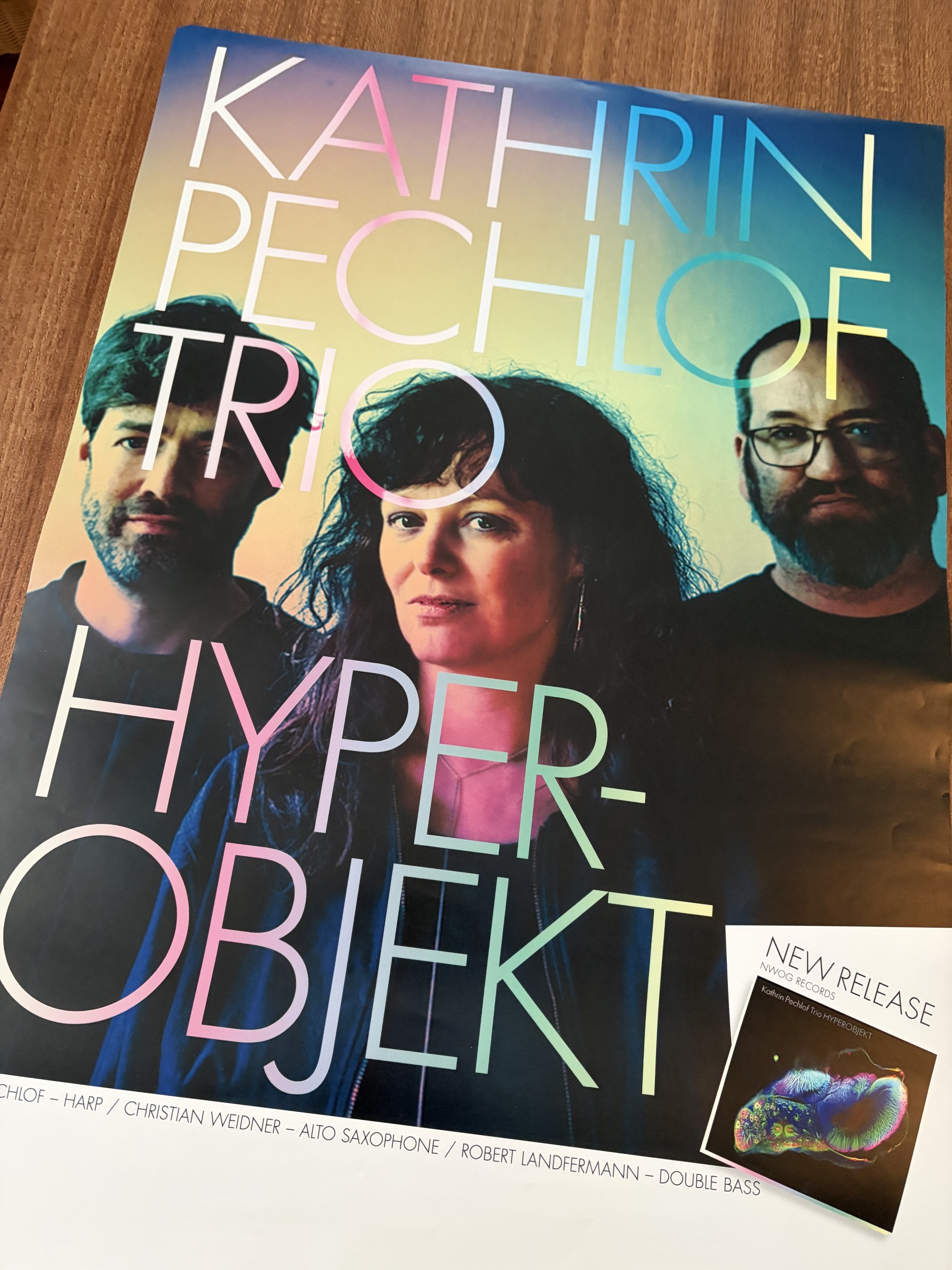 Ein Konzert-Ankündigungs Plakat des Kathrin Pechlof Trios